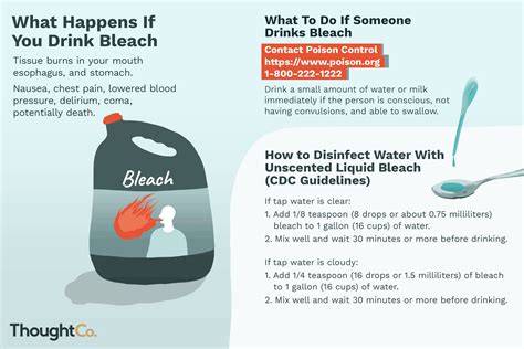 drops of bleach to pass drug test|How Drinking Bleach Can Kill You .